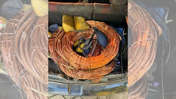 Equipe policial já recuperara 600kg de cobre furtados em janeiro, em outra ação - Divulgação/SSP-SP