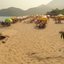 Refúgio em Ubatuba, Praia do Prumirim combina mar e cachoeira; conheça