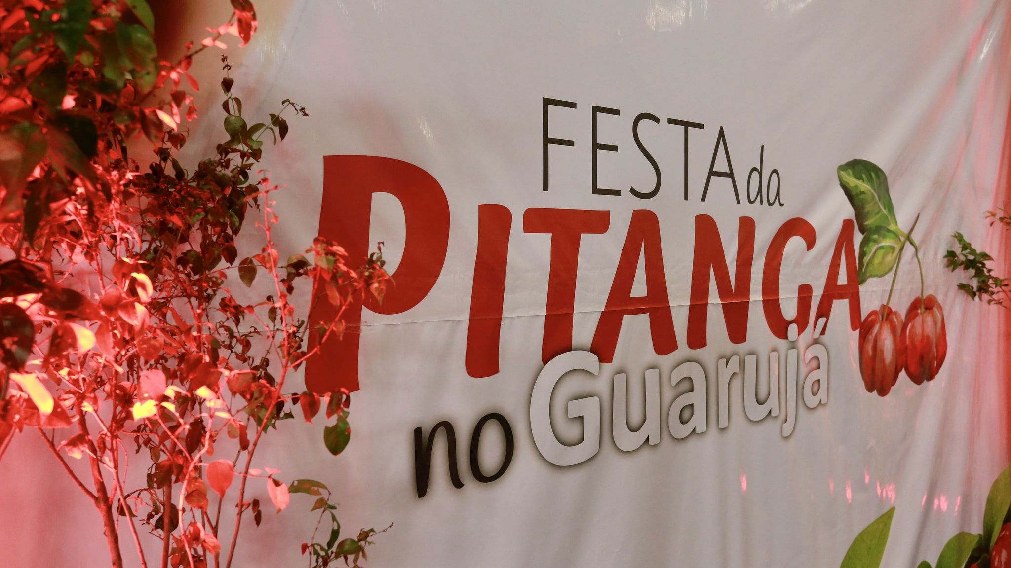 Cartaz da Festa da Pitanga de Guarujá