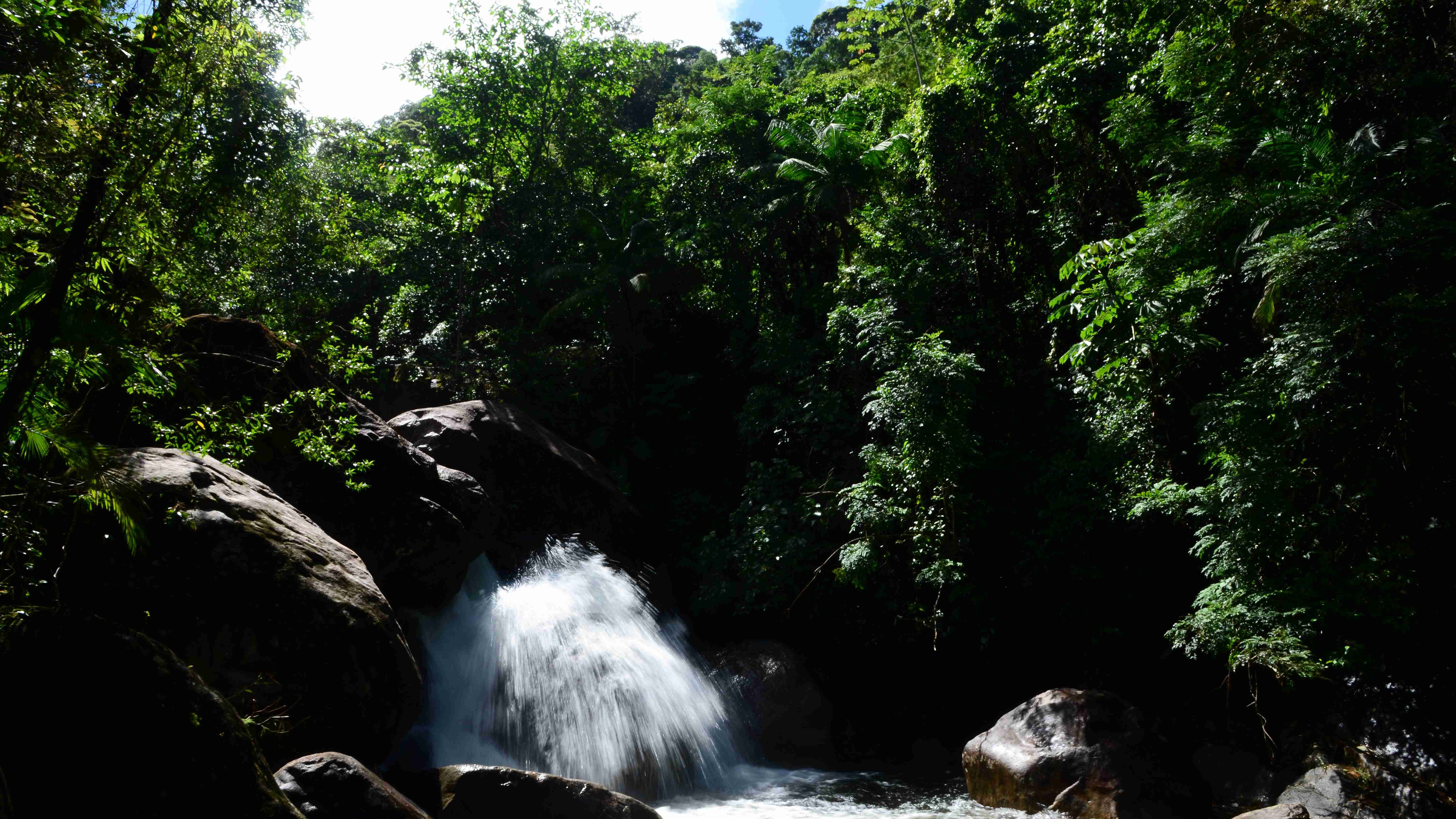 Cachoeira do Parque estadual da Serra do Mar