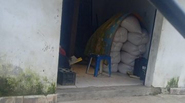 Foram apreendidas quase meia tonelada de carga de milho - Divulgação Polícia Civil