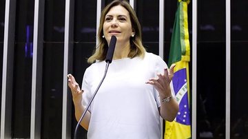 A deputada é presidente do PL Mulher de São Paulo - ARQUIVO CN