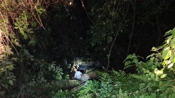 Três homens estavam em veículo que caiu em ribanceira na Rio-Santos - Divulgação/Corpo de Bombeiros
