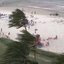 A imagem mostra fortes rajadas de vento e ventania intensa numa praia do litoral de São Paulo