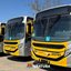 A imagem mostra novos ônibus urbanos do modelo Caio Apache Vip V (montados sobre chassi Mercedes-Benz) adquiridos para a frota do transporte público de Ubatuba, operado pela empresa SOU Transportes (Sancetur)