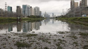 Rio Pinheiros é pulverizado com larvicida para conter mosquitos - © Rovena Rosa/Agência Brasil