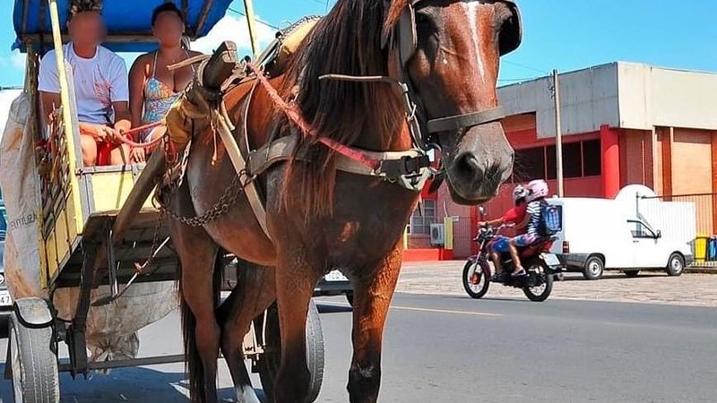 Divulgação/Prefeitura de Guarujá