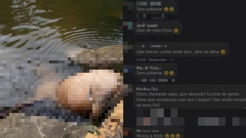 Advogada anunciou que vai acionar justiça para tentar salvar animais sobreviventes de responsáveis negligentes, segundo ela. Animais morrem afogados em Ubatuba - Imagem: Reprodução / Redes Sociais