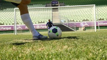 Palmeiras leva taças ao Allianz para foto oficial como campeão da Copa do Brasil e da Libertadores - César Greco / Palmeiras
