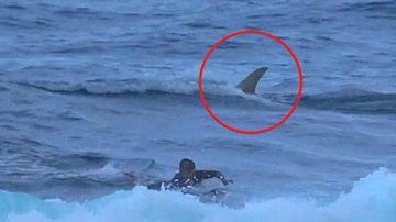 Último ataque de tubarão registrado na região foi em 2011; banhista sobreviveu Momentos de tensão: surfista é surpreendido por tubarão logo atrás dele Tubarão atrás de surfista em praia de Porto Rico - Divulgação