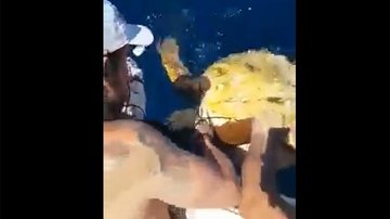 Um dos homens presentes na embarcação imobilizou o animal, enquanto o outro fez o corte da rede com uma faca, libertando o animal logo em seguida Resgate de tartaruga enroscada em rede de pesca emociona a web | Vídeo Tartaruga é salva por homens em alto ma - Divulgação/Facebook