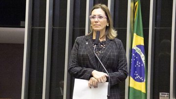 Deputada Federal Rosana Valle - Divulgação