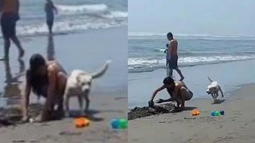 Cachorrinho urina em turista durante passeio na praia - Tiktok/ @yasira.m.v