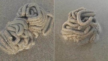 Escultura em formato de fezes e com vermes em sua 'composição' Praia Escultura de fezes - Reprodução