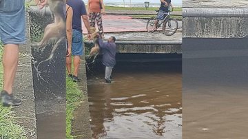 Homem parou sua moto para ajudar e conseguiu tirar o cachorro da água Cachorro sendo salvo em Bertioga Homem dentro do canal de Bertioga salvando cachorro da água - Reprodução