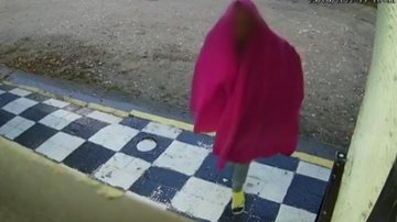 Na tentativa de ser discreto, indivíduo usou um cobertor rosa choque e sapatos amarelo 'mostarda' para furtar um prédio - Câmeras de Segurança