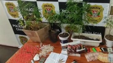Operação da Polícia Civil contra o tráfico de drogas é realizada no Litoral Norte  drogas - Foto: Polícia Civil