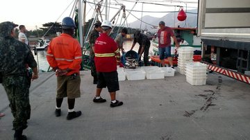 Operações resultaram na apreensão de 19,5 toneladas de tainha em Ilhabela - Divulgação